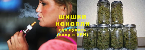 мдпв Бородино