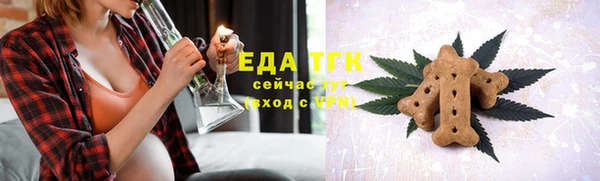 мдпв Бородино