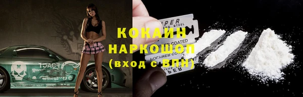 мдпв Бородино
