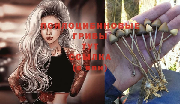 мдпв Бородино