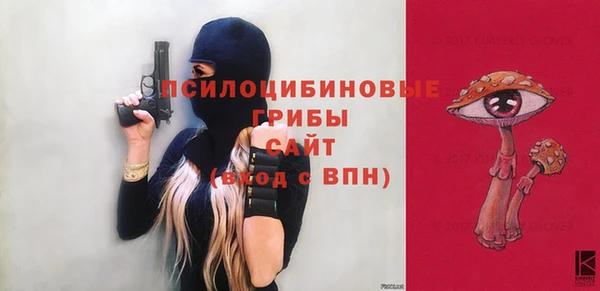 гашик Бронницы
