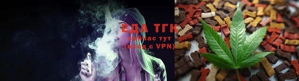 мдпв Бородино