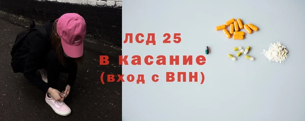 мдпв Бородино