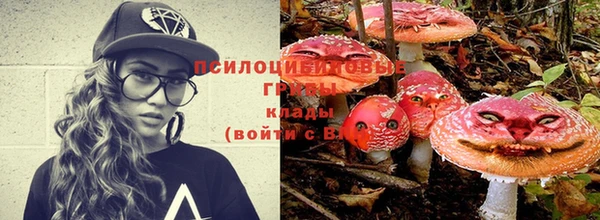 мдпв Бородино