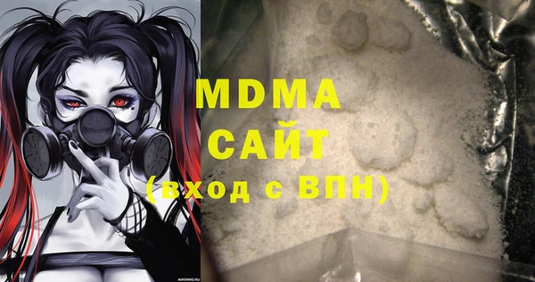 мдпв Бородино