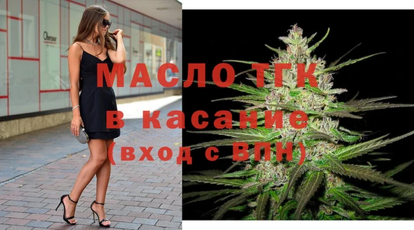 мдпв Бородино