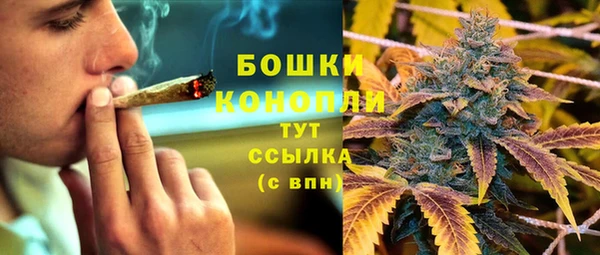 гашик Бронницы