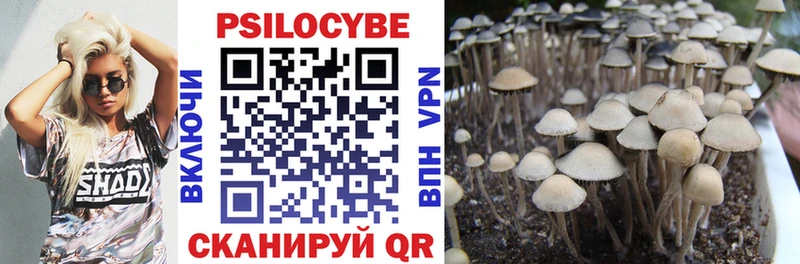 Псилоцибиновые грибы Psilocybine cubensis  MEGA зеркало  Фёдоровский  как найти закладки 